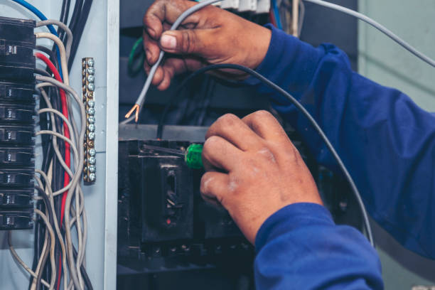 Best Local Electrician Companies  in Brocton, NY
